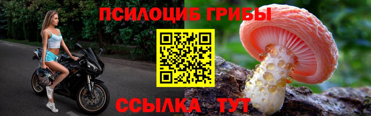 Галлюциногенные грибы Cubensis  Вход с VPN  Санкт-Петербург 