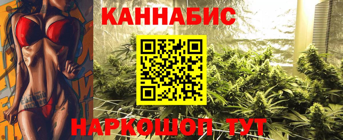 Конопля SATIVA & INDICA Санкт-Петербург