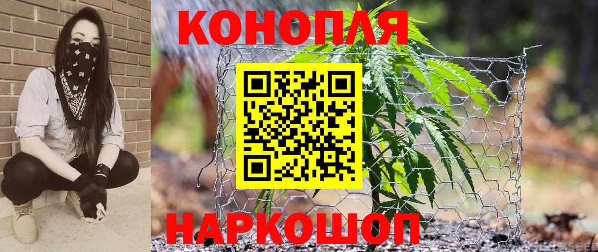 Бошки марихуана план  Канабис LSD WEED  Санкт-Петербург  Каннабис VHQ  Вход с VPN 